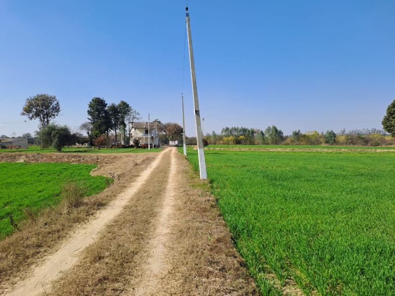 Agricultural/Farm Land For Sale In Padra, Vadodara (77.30 Guntha)
