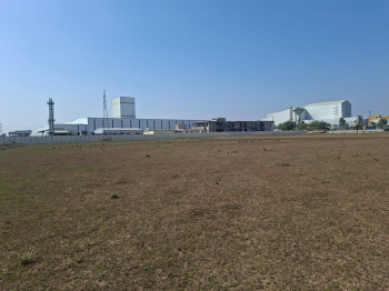 Property for sale in Kotambi, Vadodara