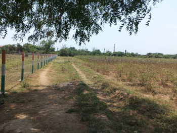 Agricultural/Farm Land for Sale in Padra, Vadodara (70000 Sq.ft.)