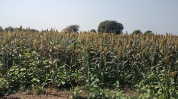 Agricultural land Highway touch