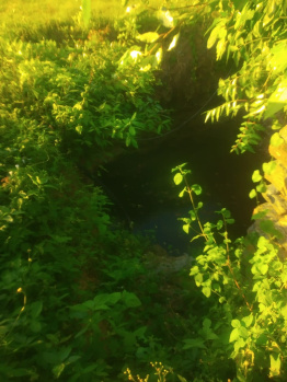 Property for sale in Sirumugai, Coimbatore