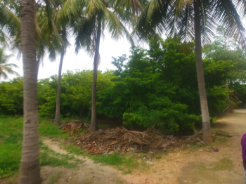 Property for sale in Annur Metu Palayam, Coimbatore