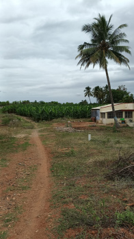 Property for sale in Sirumugai, Coimbatore