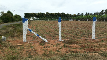 Agricultural/Farm Land for Sale in Annur, Coimbatore (60 Cent)
