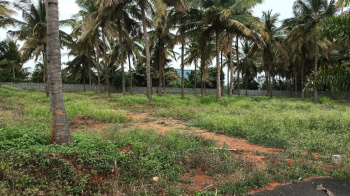 Residential Plot for Sale in Kalapatti, Coimbatore (1 Acre)
