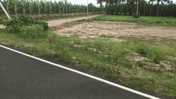 Agricultural/Farm Land for Sale in Karuvalur, Coimbatore (25 Cent)