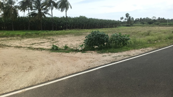 Property for sale in Karuvalur, Coimbatore