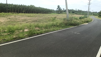 Agricultural/Farm Land for Sale in Karuvalur, Coimbatore (23 Cent)