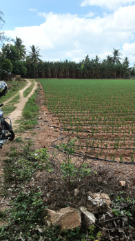 Property for sale in Karuvalur, Coimbatore