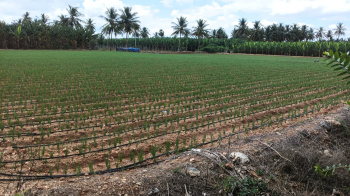 Property for sale in Karuvalur, Coimbatore
