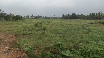 Residential Plot for Sale in Kovilpalayam, Coimbatore (12 Acre)