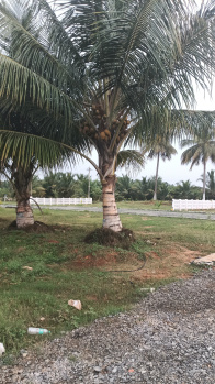 Property for sale in Annur Metu Palayam, Coimbatore