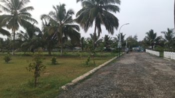 Agricultural/Farm Land for Sale in Annur Metu Palayam, Coimbatore (25 Cent)