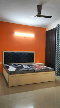 3 BHK Builder Floor for Rent in Sector 8, Rohini, Delhi (600 Sq.ft.)