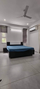 1.5 BHK Builder Floor for Rent in Sector 8, Rohini, Delhi (600 Sq.ft.)