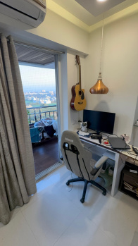 Maple wood flat for sale nipaniya