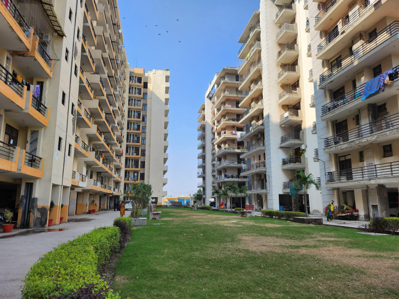 3 BHK Flats & Apartments for Sale in Sector 63, Faridabad