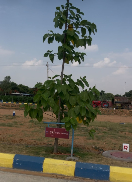 Residential Plot For Sale In Shadnagar, Hyderabad (154 Sq.ft.)
