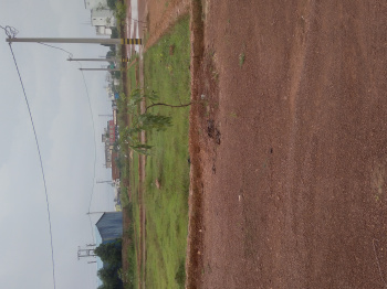 Property for sale in Balianta, Bhubaneswar