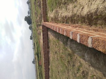Residential Plot for Sale in Janla, Bhubaneswar (1545 Sq.ft.)