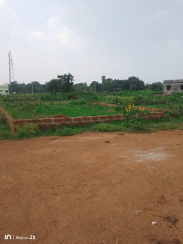 Residential Plot for Sale in Patrapada, Bhubaneswar (1560 Sq.ft.)