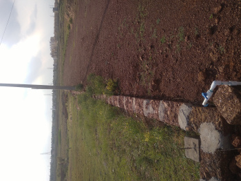 Property for sale in Janla, Bhubaneswar
