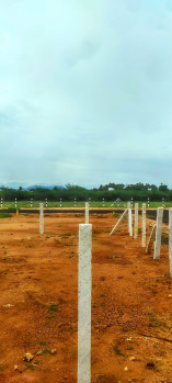 435 Sq.ft. Residential Plot For Sale In Veerapanchan, Madurai