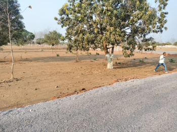 Farm House for Sale in Kharora, Raipur (12500 Sq.ft.)
