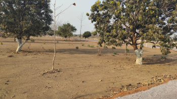 Property for sale in Kharora, Raipur