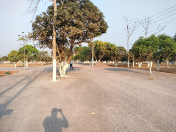 Property for sale in Kharora, Raipur