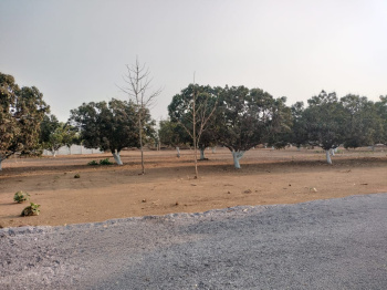 Property for sale in Kharora, Raipur