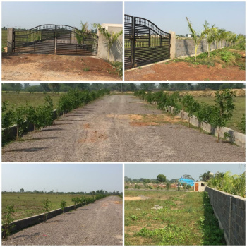 Agricultural/Farm Land for Sale in Naya Raipur, Raipur (6000 Sq.ft.)