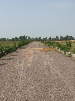 Property for sale in Naya Raipur, Raipur