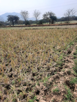 Property for sale in Begunia, Khordha