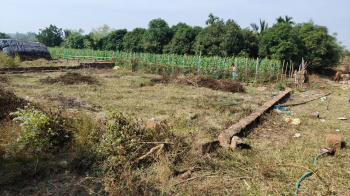 Property for sale in Panchagaon, Bhubaneswar