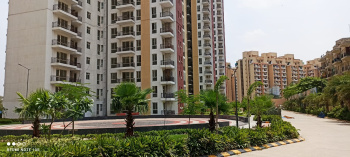 3 BHK Flats & Apartments for Sale in Sector 37C, Gurgaon (2035 Sq.ft.)