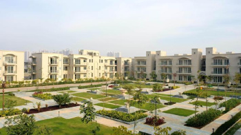 500 Sq. Yards Residential Plot for Sale in Sector 102, Gurgaon