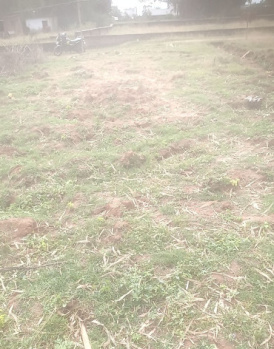 Property for sale in Kathitand, Ranchi