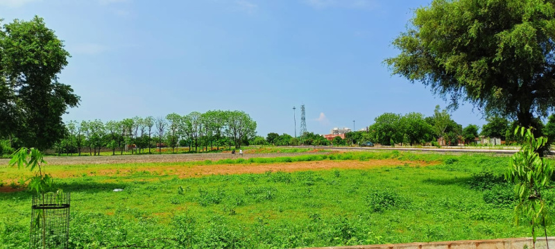 18.81 Acre Agricultural/Farm Land For Sale In Thandukkaranpalayam, Tirupur