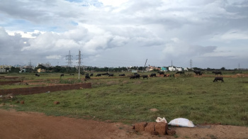 Residential Plot for Sale in Balianta, Bhubaneswar (1200 Sq.ft.)