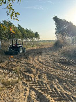 Property for sale in Behat, Saharanpur