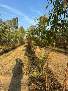 Property for sale in Behat, Saharanpur