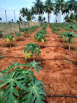 Property for sale in Vadakkuvalliyur, Tirunelveli