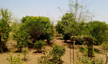 Property for sale in Wada, Palghar