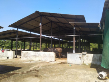 Property for sale in Wada, Palghar