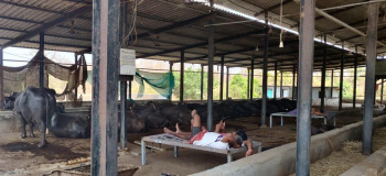 Property for sale in Wada, Palghar