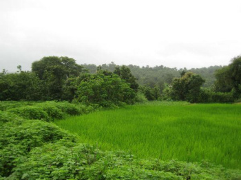 Property for sale in Wada, Palghar