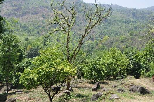 Land for sale for tourism industry and Hotel industry