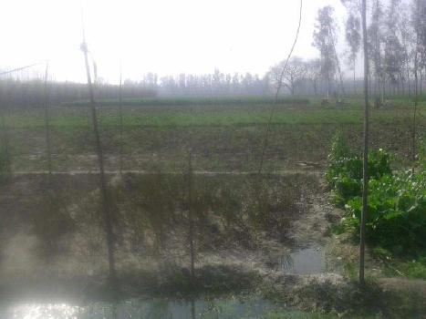2 Acre Agricultural/Farm Land for Sale in Hoshiarpur