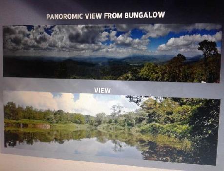 Coffee Estate for Sale  South Karnatka  India